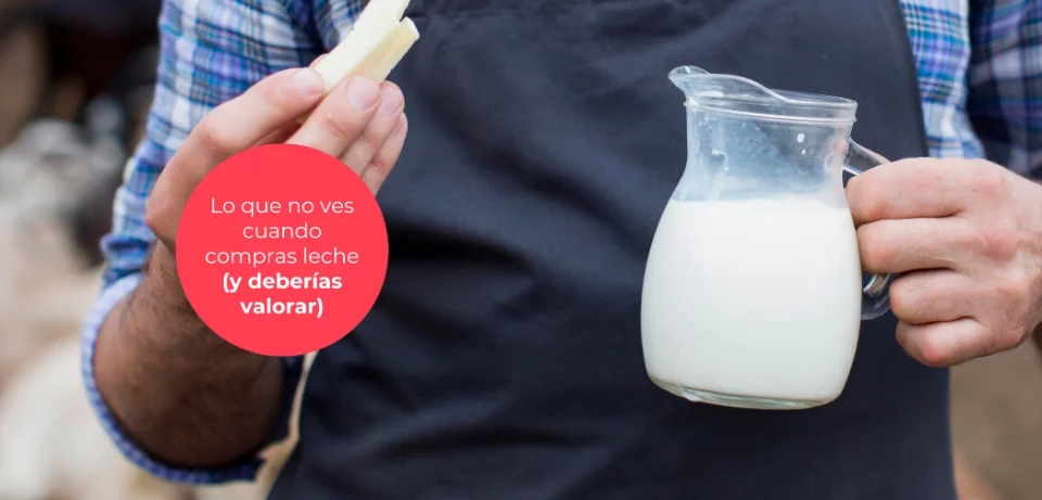 Lo que no ves cuando compras leche